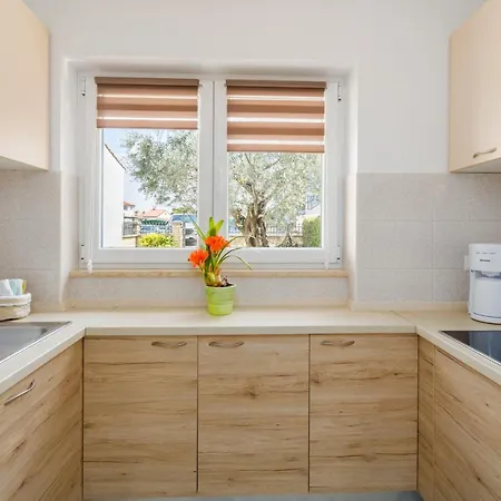 House Oliva * פורץ